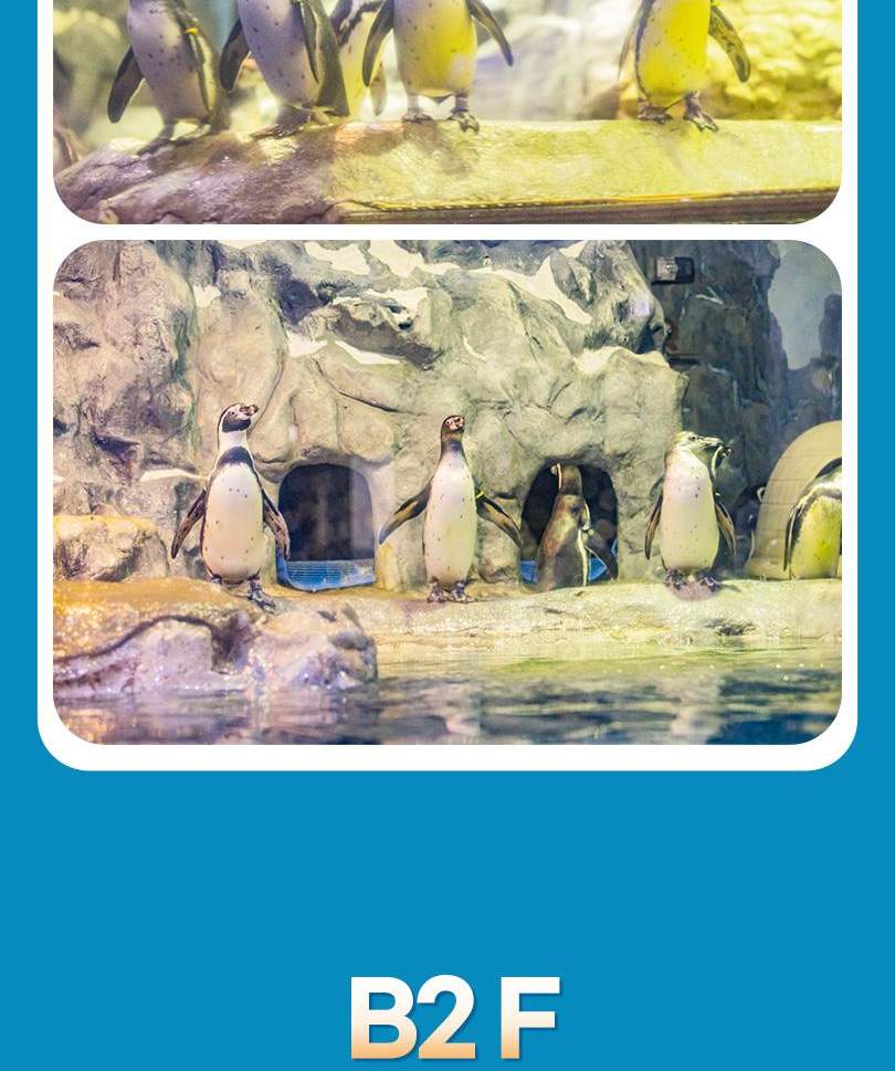 서울스카이 + 롯데월드 아쿠아리움 입장권