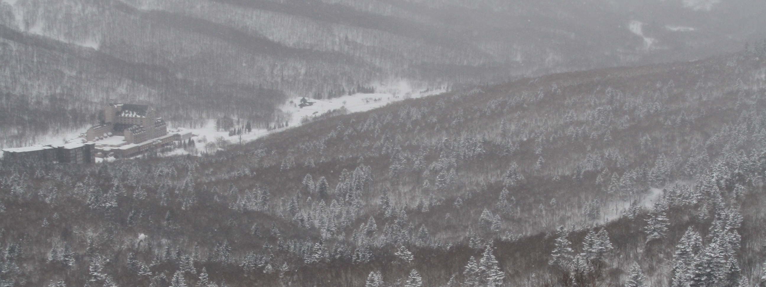 키로로 프라이빗 영어 스노보드 레슨