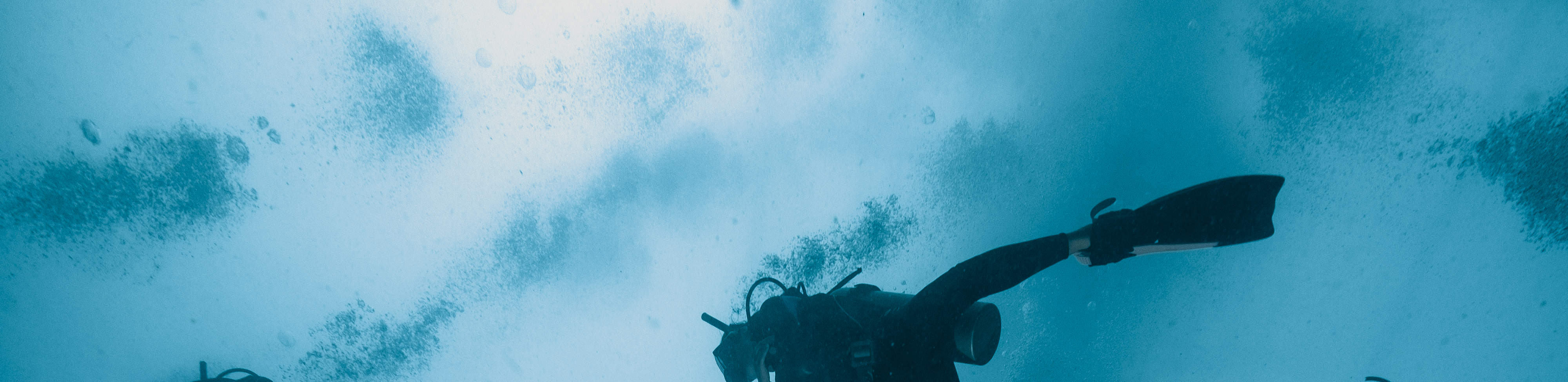 PADI Advanced Open Water Diver (E-learning)