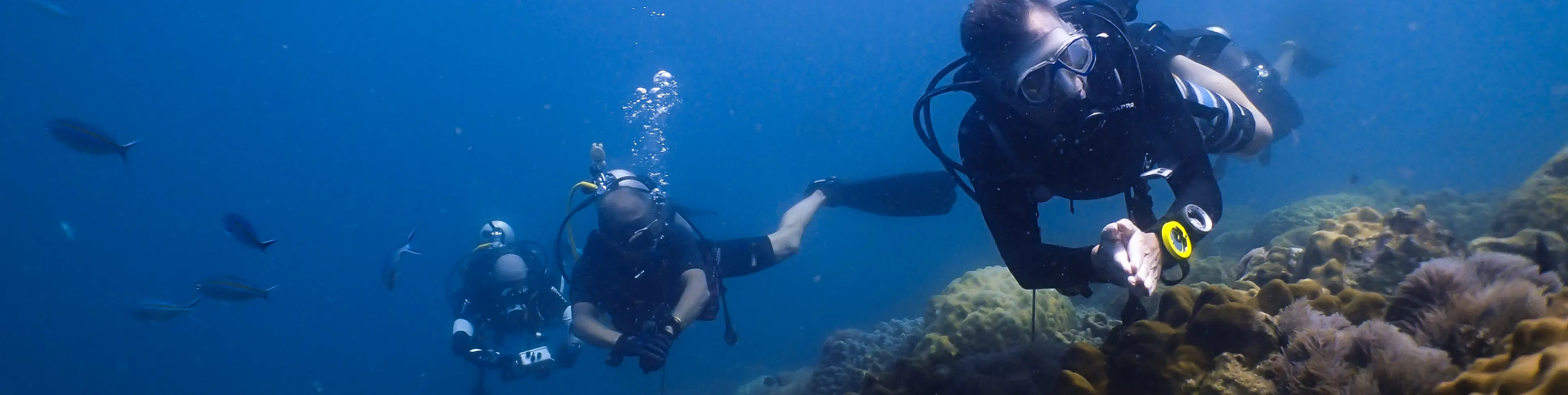 PADI ReActivate 水肺复习课程
