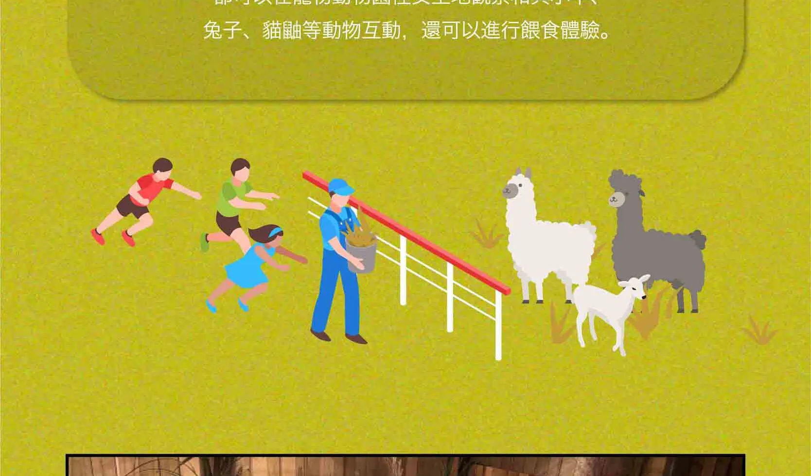 绵羊牧场 Tikcet（羊驼、绵羊、兔子） 京畿道加平