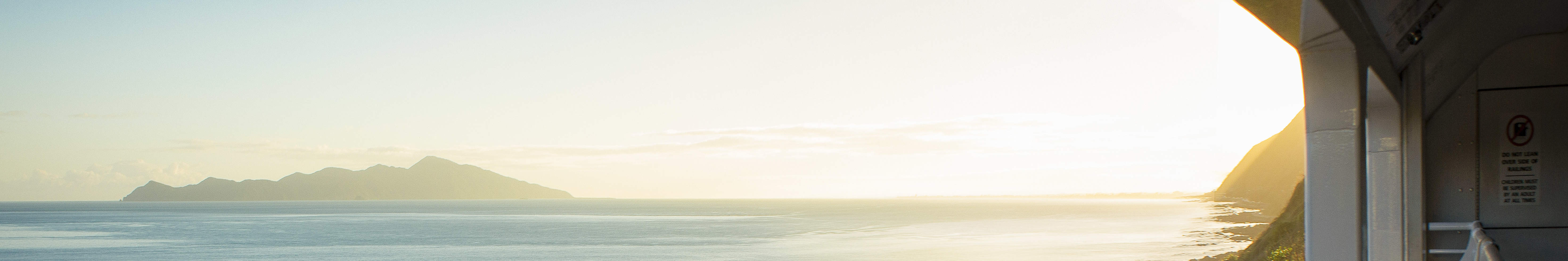 Attraversa i paesaggi mozzafiato della regione vulcanica dell'Isola del Nord durante la tua avventura in treno