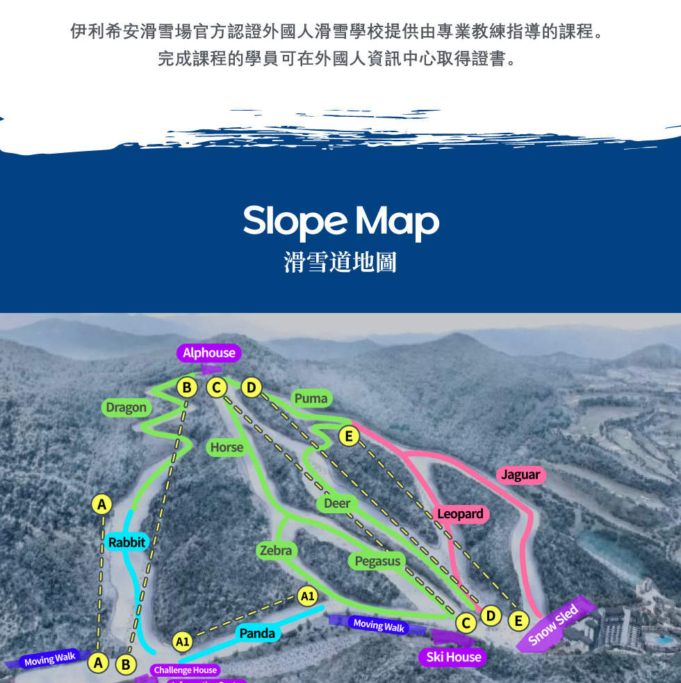 Elysian 官方滑雪學校：私人滑雪和單板滑雪課程