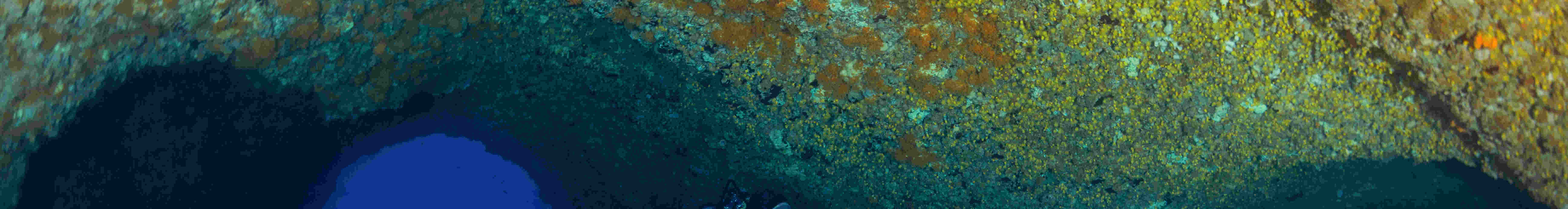 Chuyến đi lặn nửa ngày