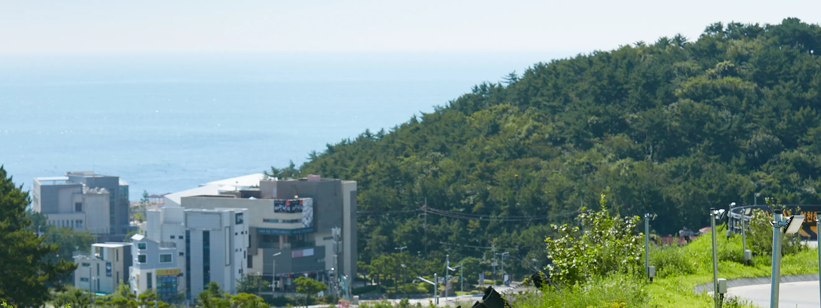 blue sky and green land with luge