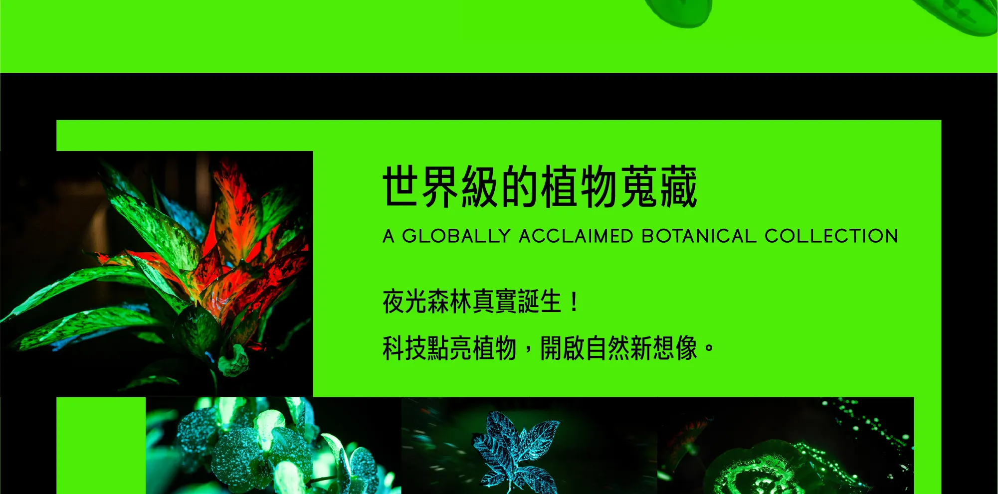 自造自然：超越有机的共生