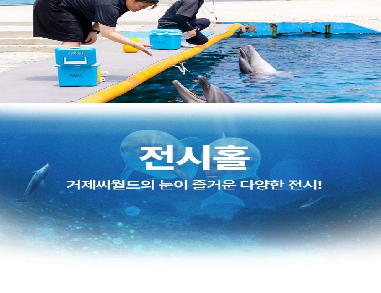 경남 거제 씨월드 입장권