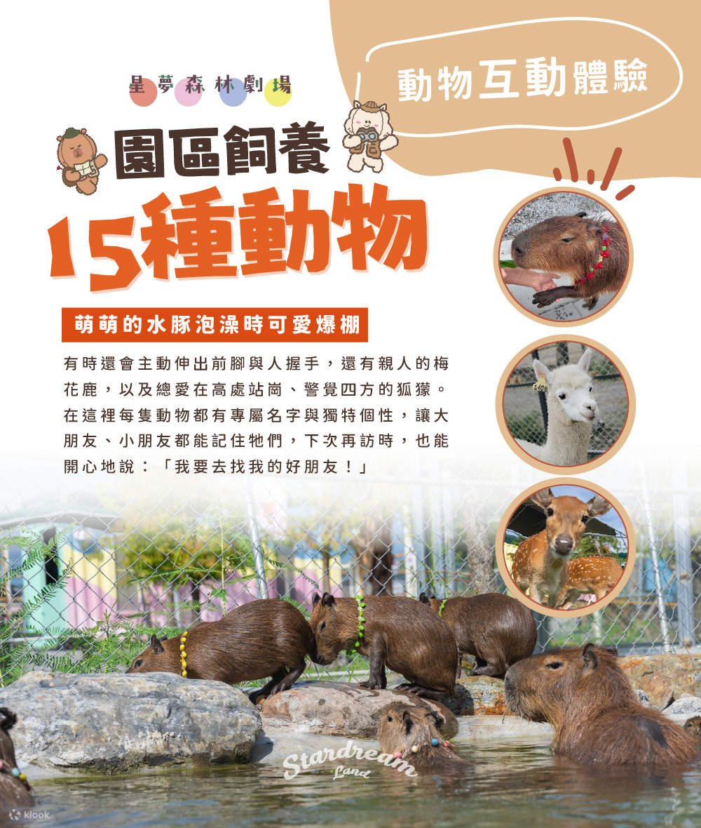 15 видов животных парка Star Dream