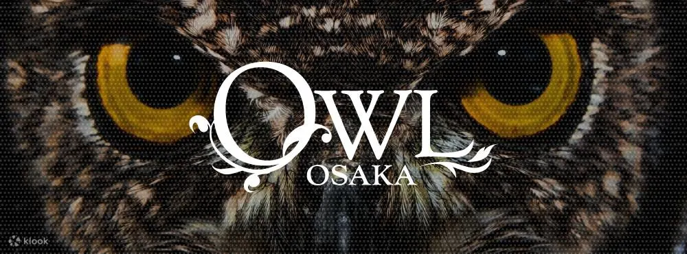 OWL OSAKA【外国人旅行者专用套餐】入场券（大阪）