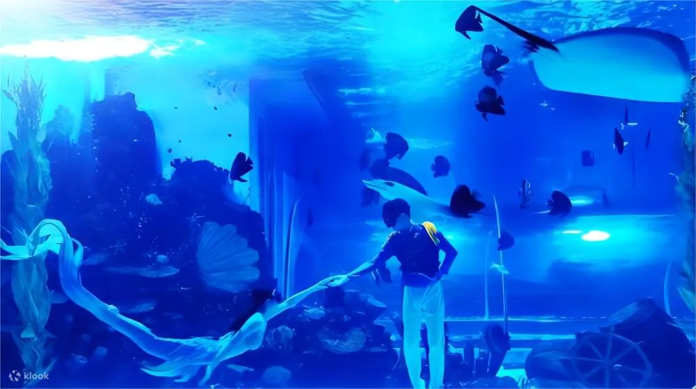 顺德海立方海洋公园