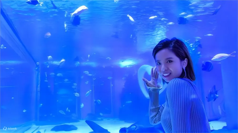 顺德海立方海洋公园