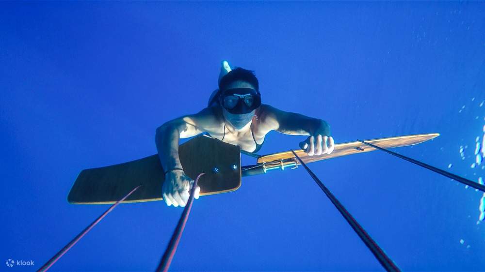 水上スキー＆サブウィング体験（専用送迎付き）－フルガダ