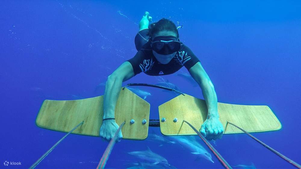 Chuyến phiêu lưu trượt nước và lặn Sub Wing kèm dịch vụ đưa đón riêng - Hurghada