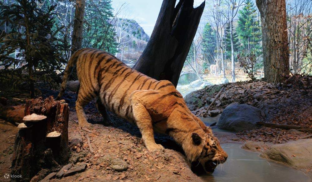 Jabatan Alam Sekitar Global