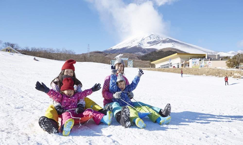 Катание на санях