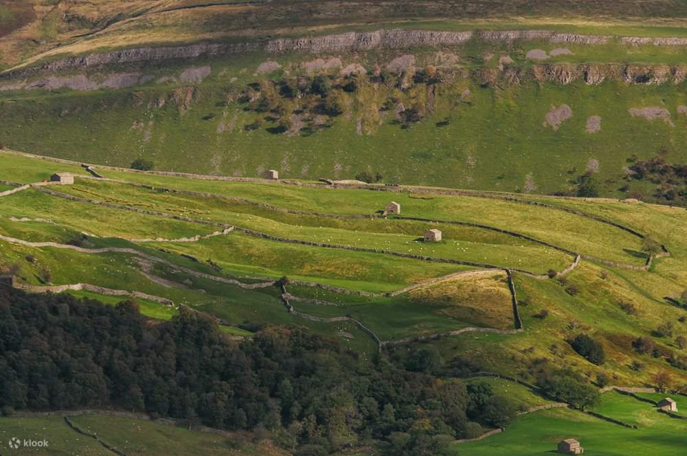 The Yorkshire Dales Day Tour from the Lake District Klook