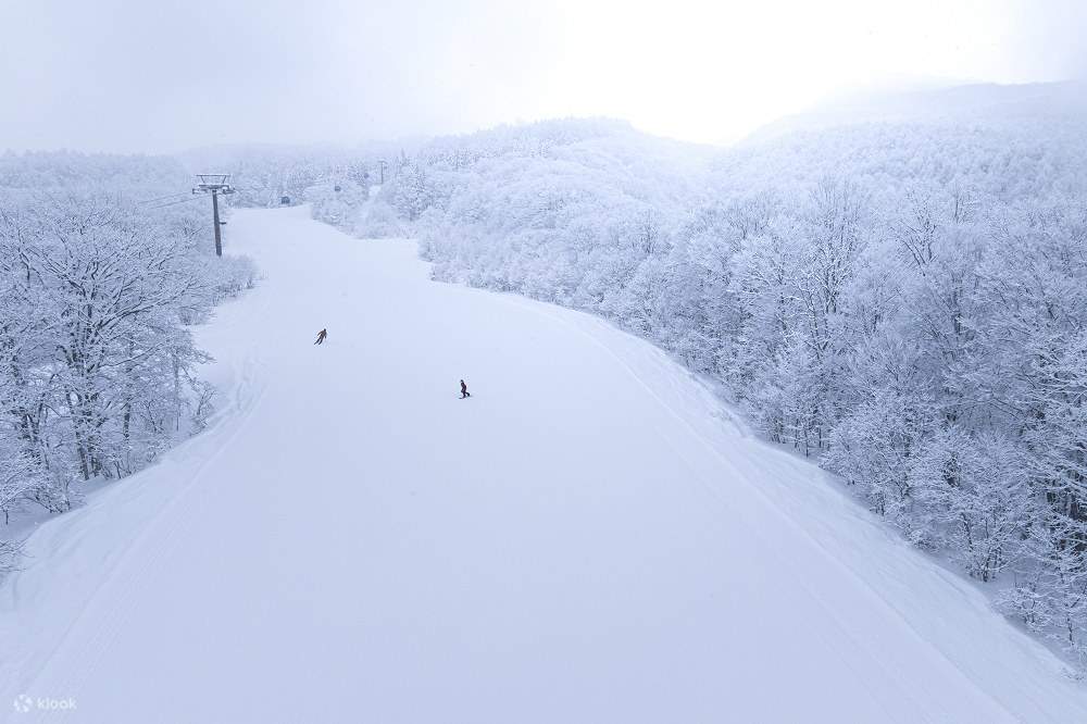 Japan Snow Resort Alliance Biglietto d'ingresso comune per 24 stazioni sciistiche