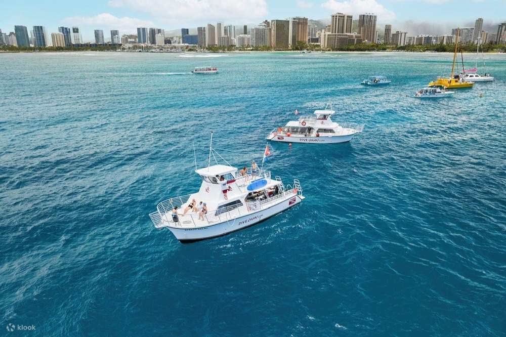 Tour in Barca alla Barriera Corallina Poco Profonda a Oahu