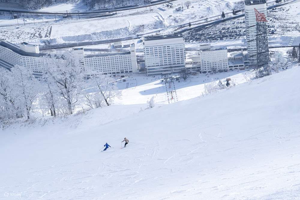 Japan Snow Resort Alliance Biglietto d'ingresso comune per 24 stazioni sciistiche