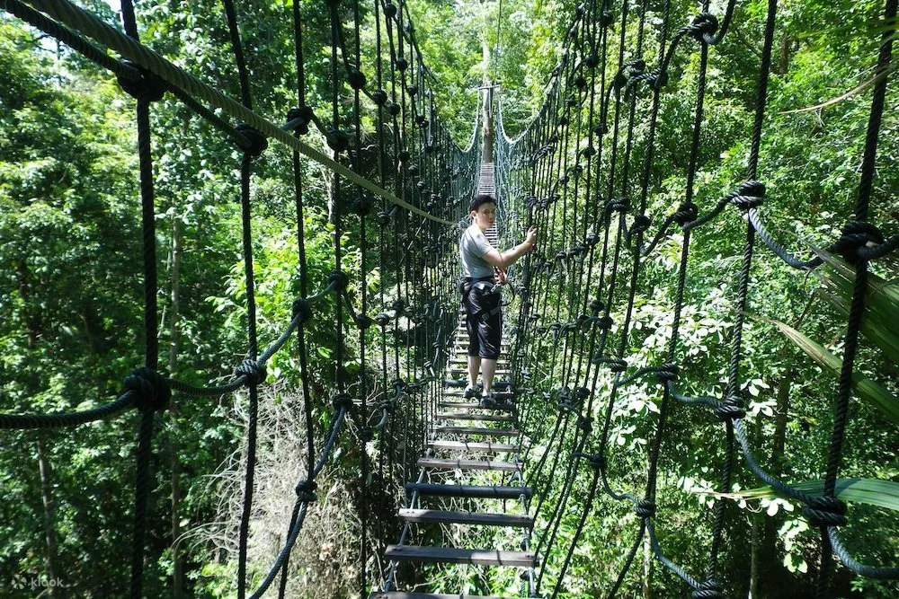 Skytrex Adventure Sungai Congkak in Kuala Lumpur - Klook香港