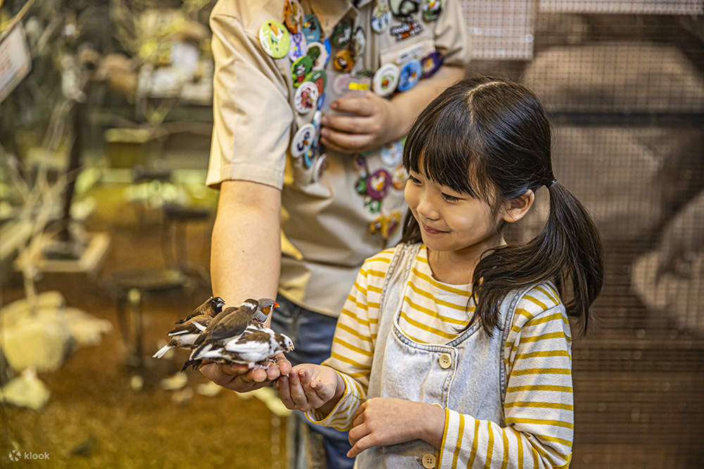 • Bạn không cần phải lo lắng về các con vật vì người quản lý vườn thú luôn chăm sóc chúng như con ruột của mình.