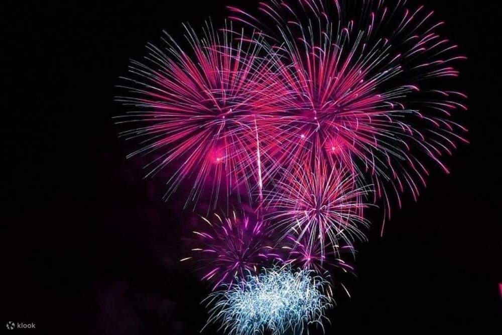 4th of july fireworks cruise florida
