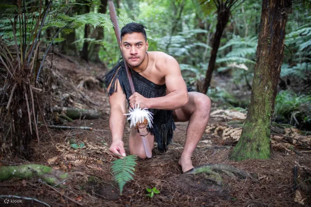 Waitangi Treaty Grounds