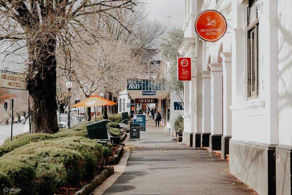 Tour di lusso in bus: le annate e i villaggi della Yarra Valley