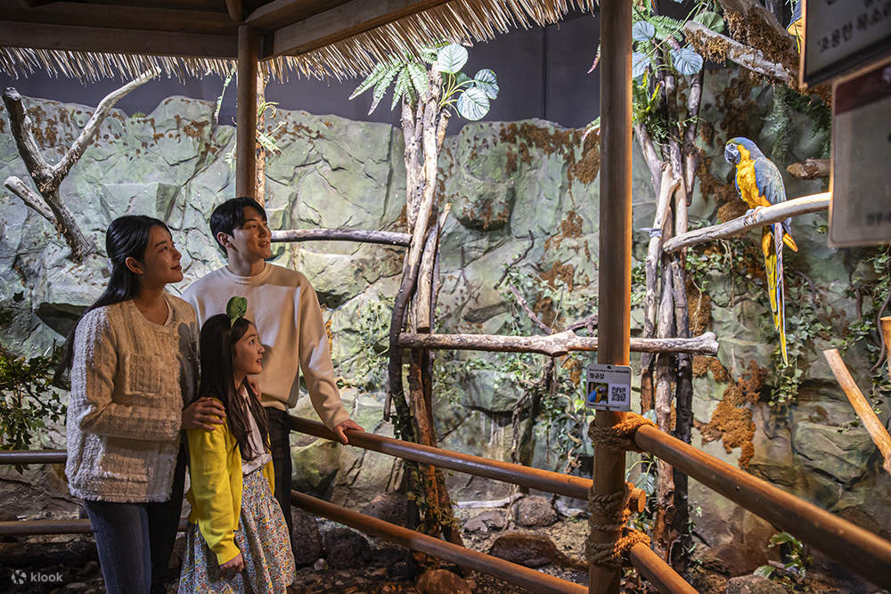 Billet pour le parc animalier intérieur Seoul Zoolung Zoolung