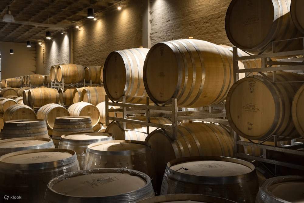 Nếm rượu vang tại Trang trại rượu Groot Constantia