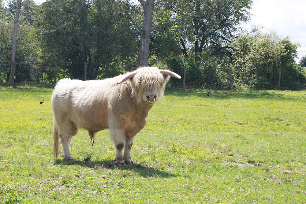 Rotorua Heritage Farm Tour Klook