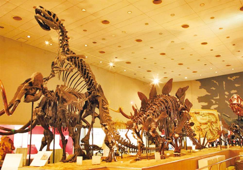大阪展览