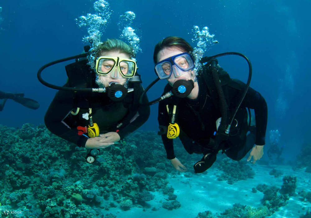 PADI开放水域潜水员