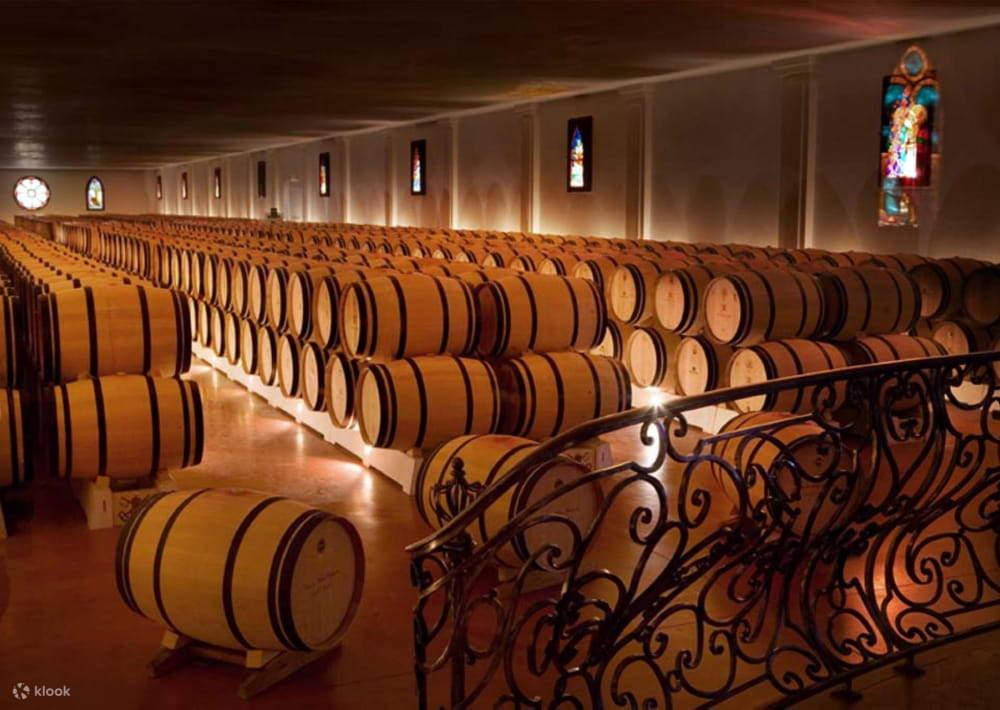 Tour tham quan nhà máy rượu vang Bordeaux từ San Sebastian - Klook Việt Nam