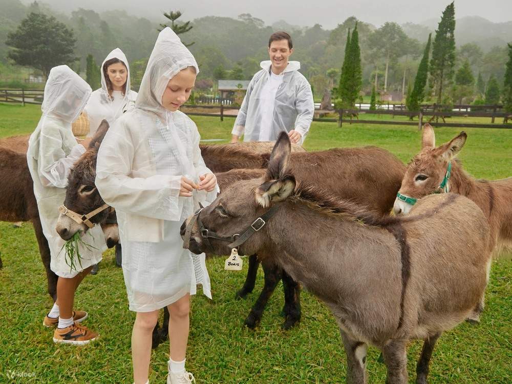 バリ・ファーム・ハウス (Bali Farm House)