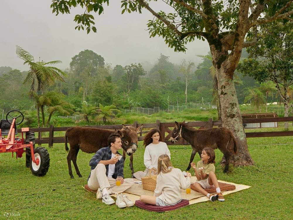 バリ・ファーム・ハウス (Bali Farm House)