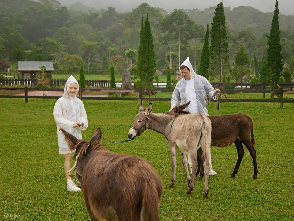 バリ・ファーム・ハウス (Bali Farm House)