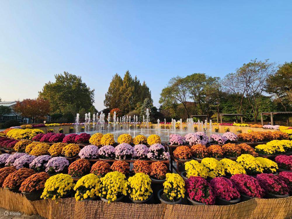 Chuncheon Autovermietung mit Fahrer: Soyanggang Skywalk, Gubongsan Cafés, Kim Yu-jeong Rail Bike & Makguksu Erlebnis