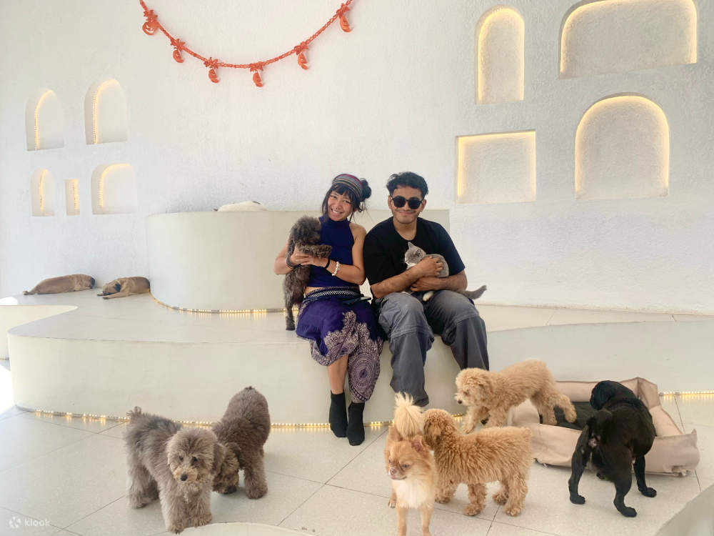 paradiso della sala relax per animali