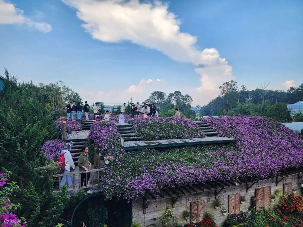 大叻童话乐园和 Vinh Tien 酒窖门票
