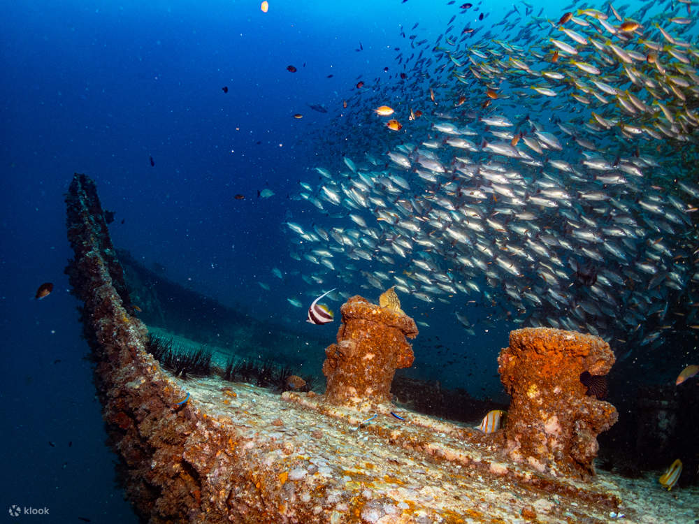 PADI ダイブ センターでピピ マリン パークの難破船とリーフ PADI ダイブ センターでピピ マリン パークの難破船とリーフ