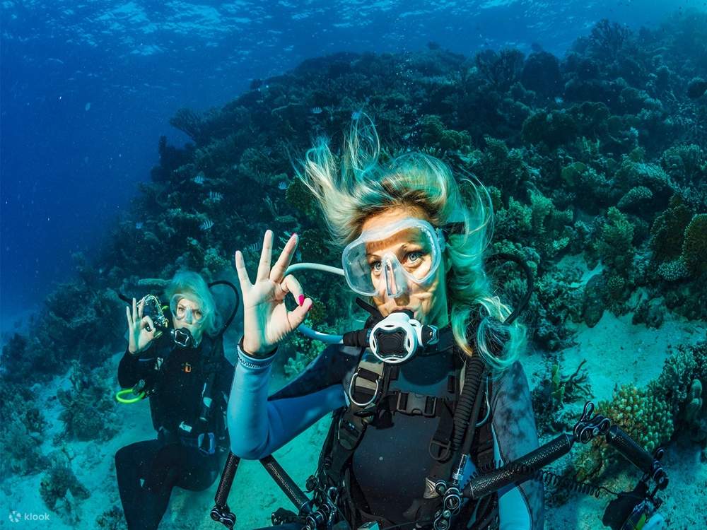 Explore the Underwater World: Scuba Diving in Alanya with Lunch and ...