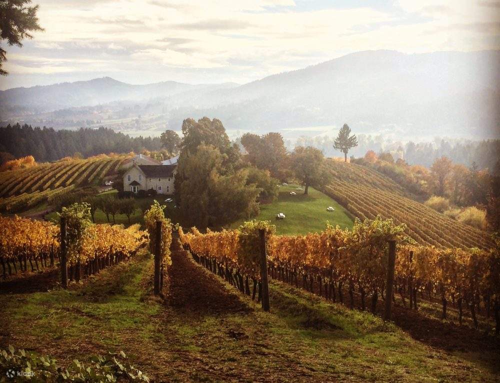 Portland City Tour and Wine Tasting Combo Klook