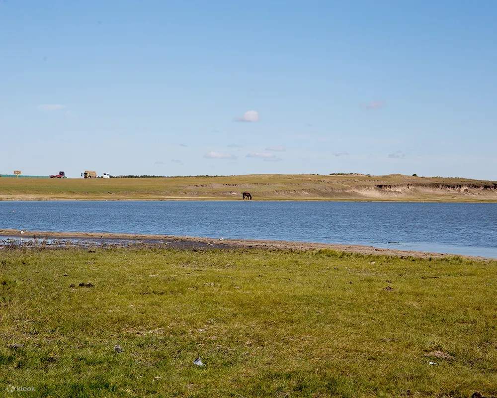 Dreamy autumn scenery of Inner Mongolia grassland in Arxan 7 days ...