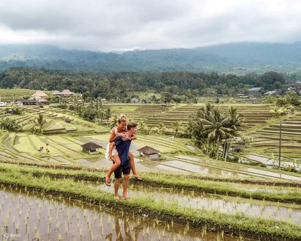 ATV Ride Jungle Jatiluwih With Tour And Activities in Tabanan Bali