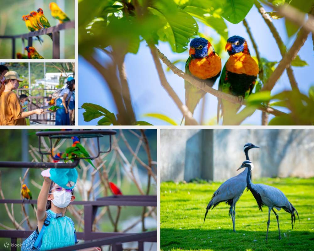 九九峰動物樂園