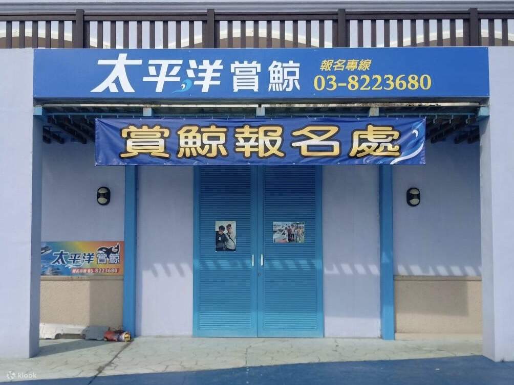 Hualien｜Observation des baleines du Pacifique｜Expérience d'observation des baleines