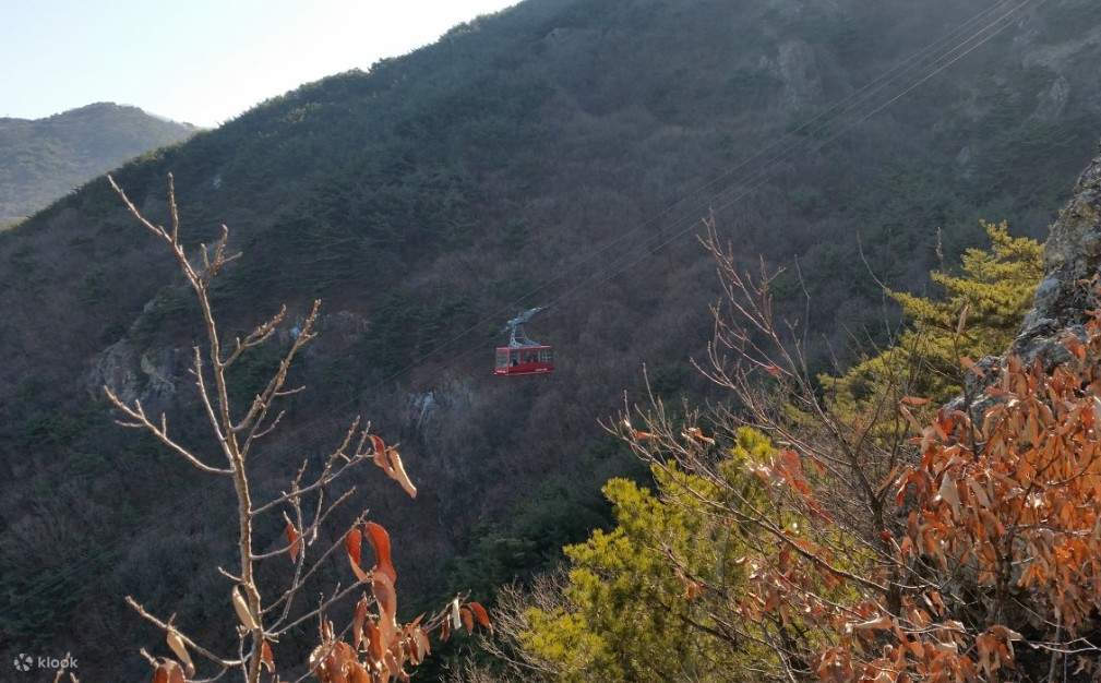 大邱・乗り降り自由オープントップバスツアー