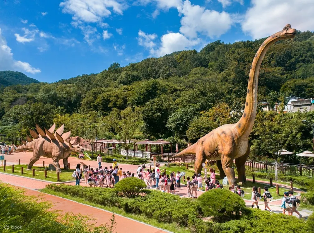 Daegu Hop-On Hop-Off Bus Tour (Open-Top)