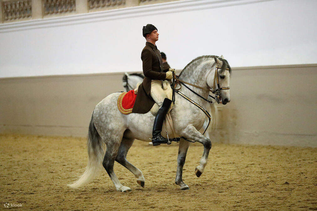 Tradition et maîtrise se rencontrent lors de la séance d'entraînement équestre de l'École espagnole d'équitation